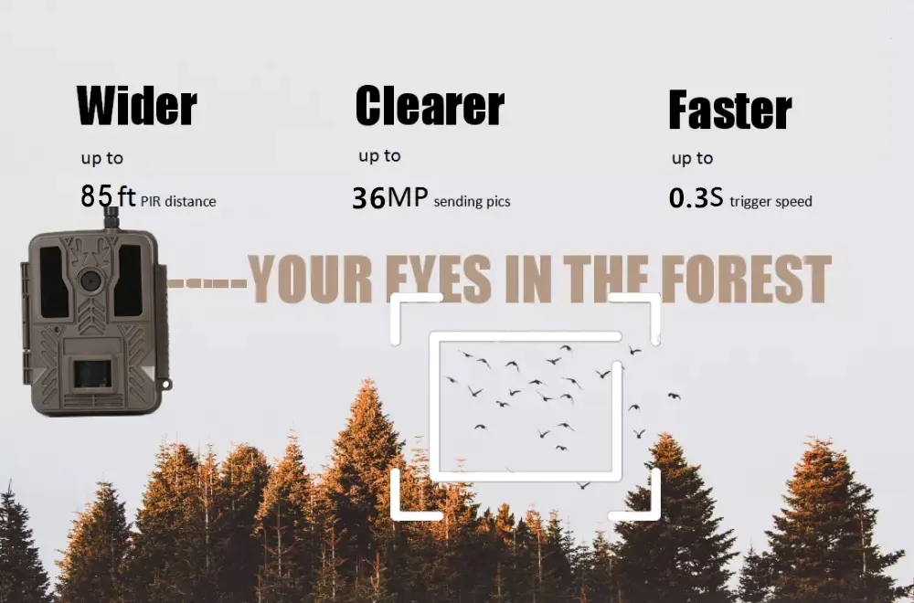 Hunting Trail Camera