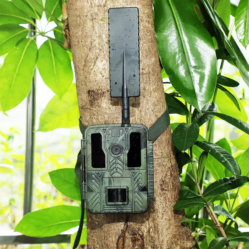 Hunting Trail Camera