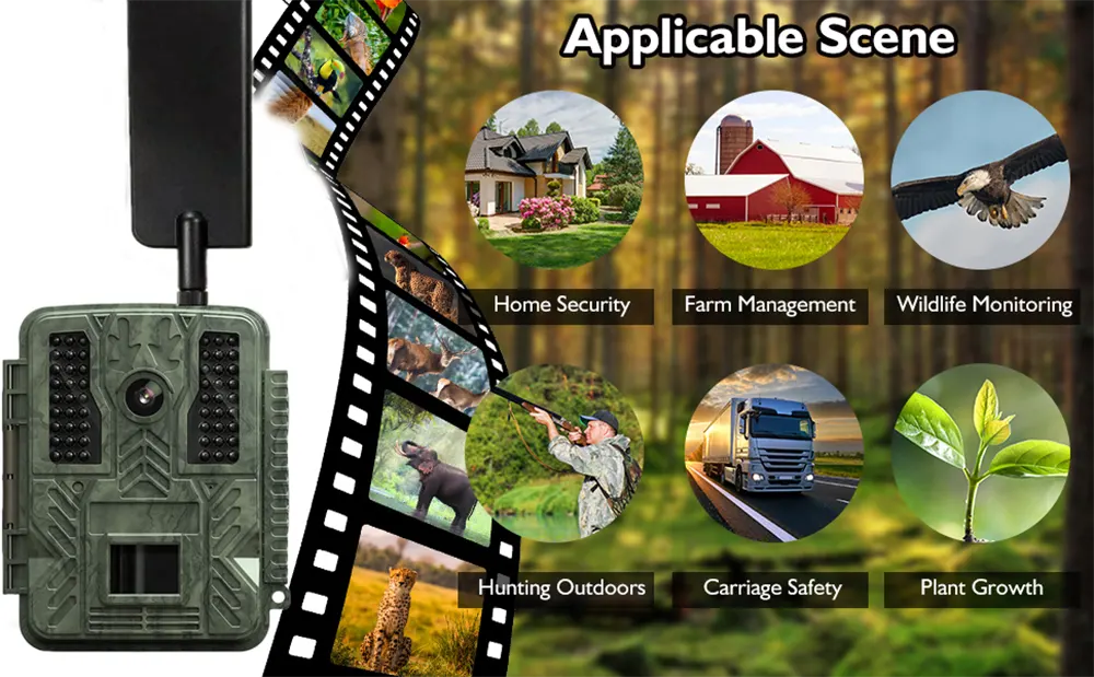 Hunting Trail Camera